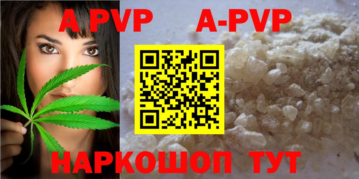 APVP СК КРИС Псков