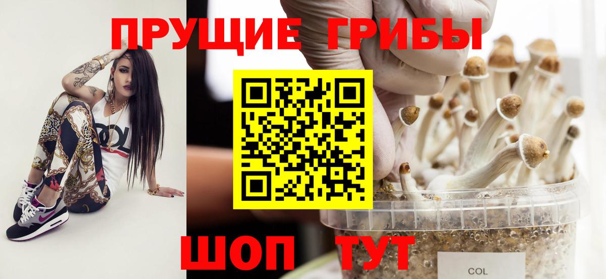 где продают   Вход с VPN  Псилоцибиновые грибы мухоморы  Псков  Псилоцибиновые грибы GOLDEN TEACHER 